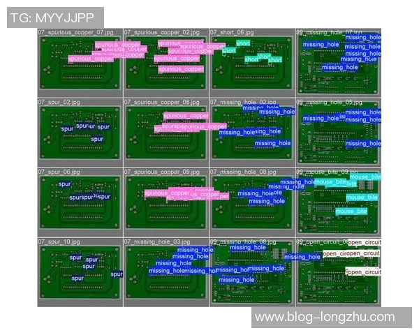 成都极限运动队耐力表现数据分析与训练策略探讨