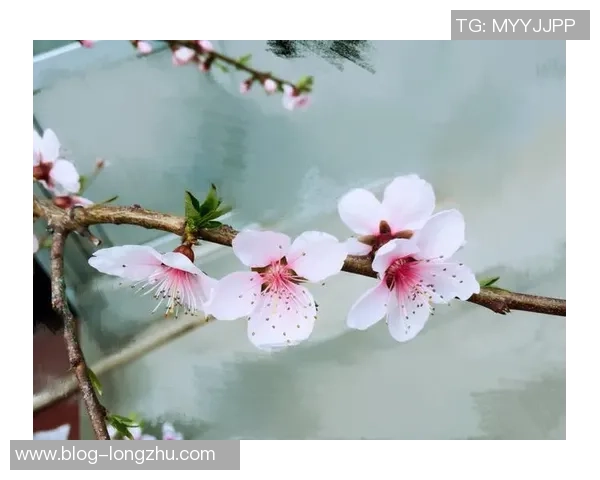 李泓澎的成长之路与音乐梦想的追逐与坚持