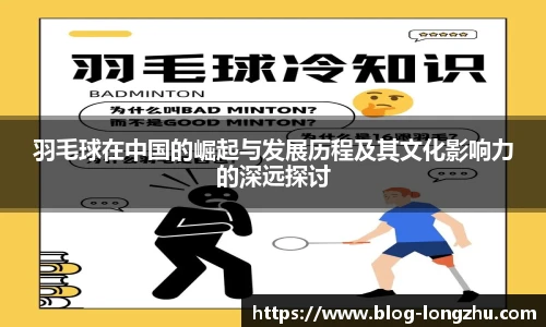 龙珠体育