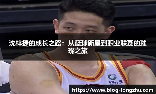 龙珠体育直播