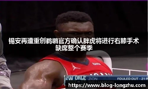 龙珠高清直播
