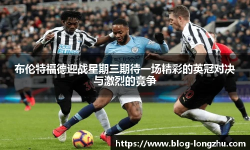 龙珠体育