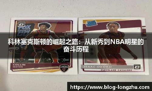 龙珠高清直播