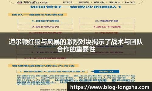 龙珠高清直播